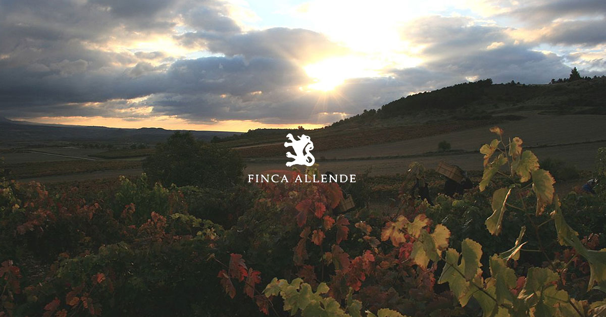 Notas vinos Finca Allende y Finca Nueva