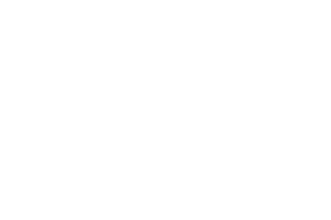 Viñedos Singulares