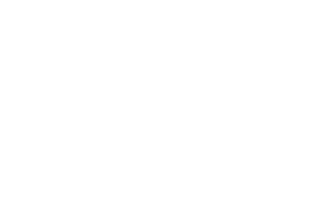 Advini