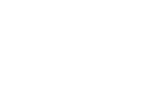 Gipsy 1927