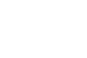 Palacios Vinos de Finca