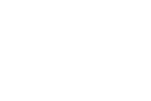 The Wine Pilot