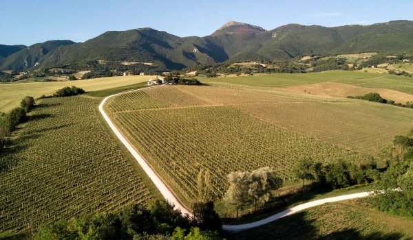 BISCI Azienda Agricola